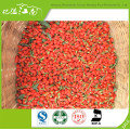 New wholesale small size berries goji